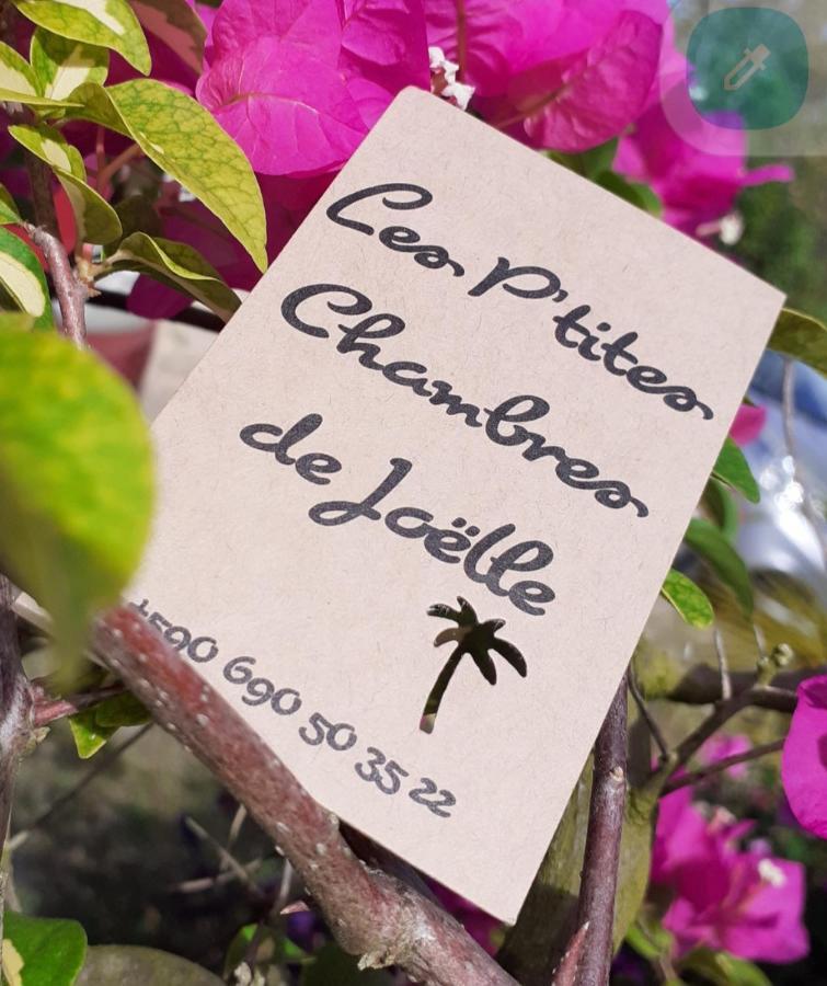 P'Tites Chambres Dans La Campagne De Marie Galante Grand-Bourg  ภายนอก รูปภาพ